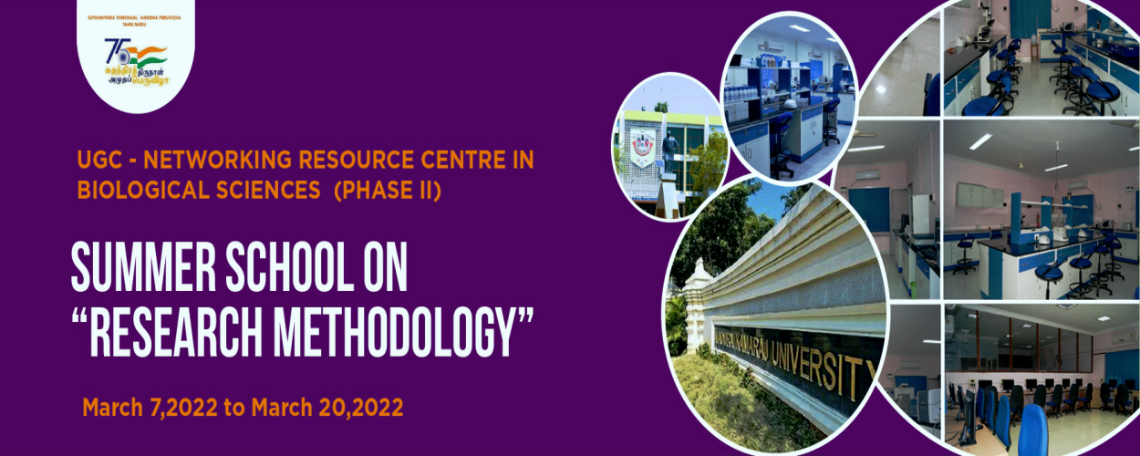 Second slide image