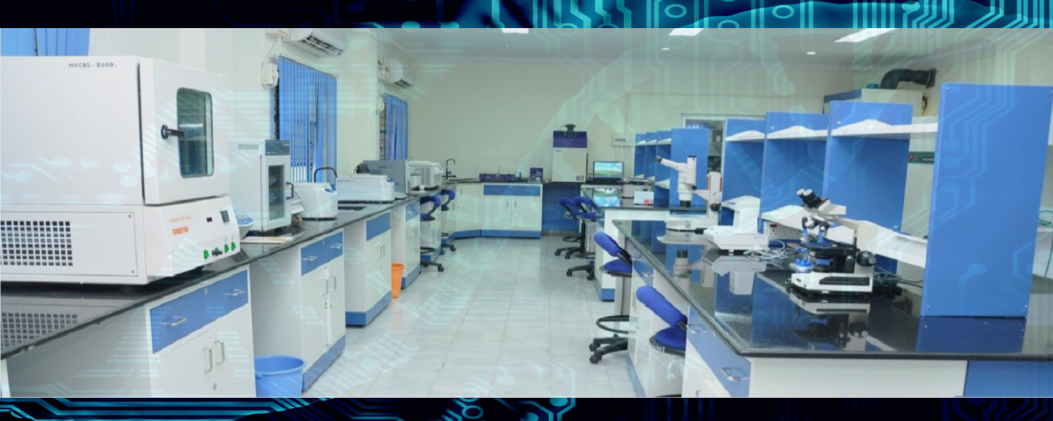 Third slide image